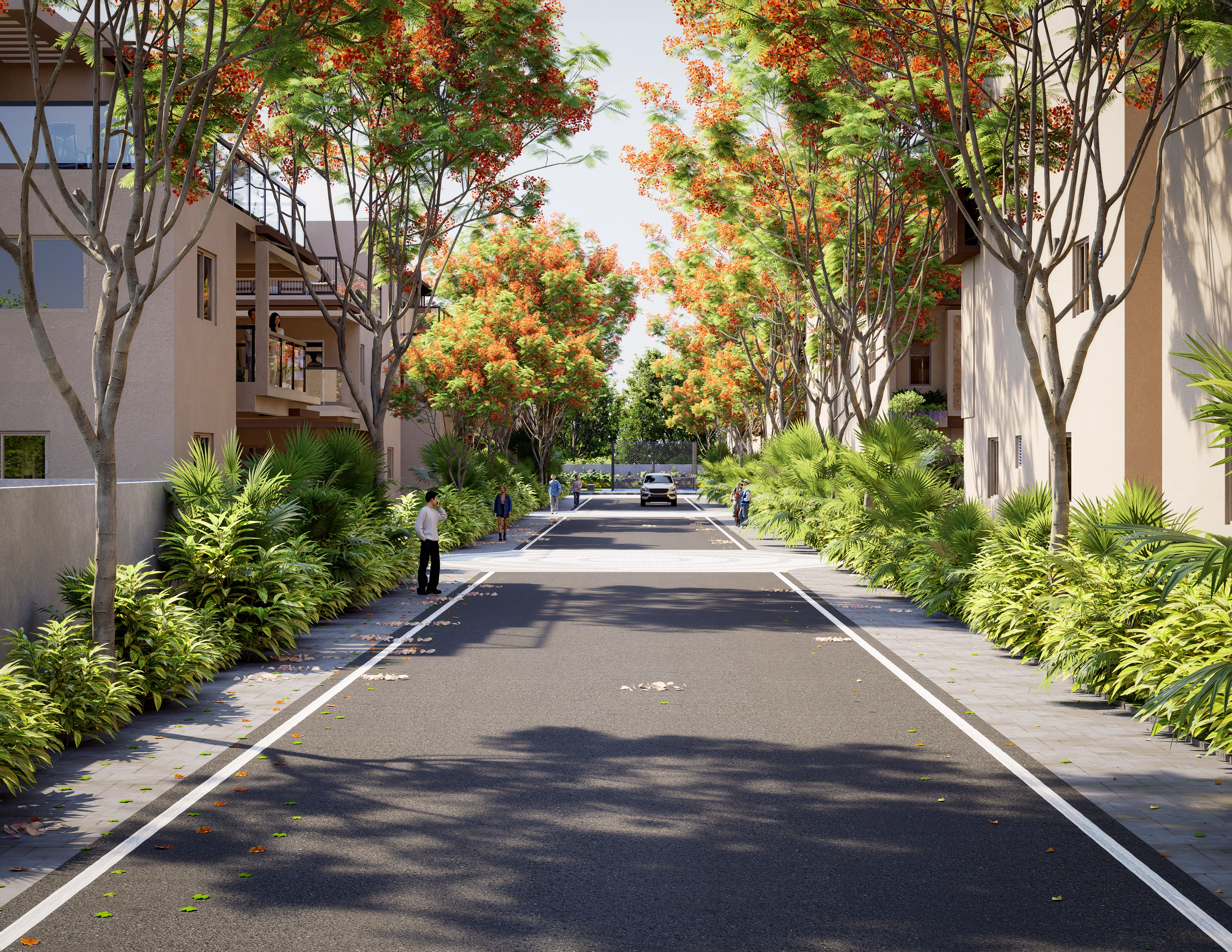 Tree-lined avenue running through MIORAH